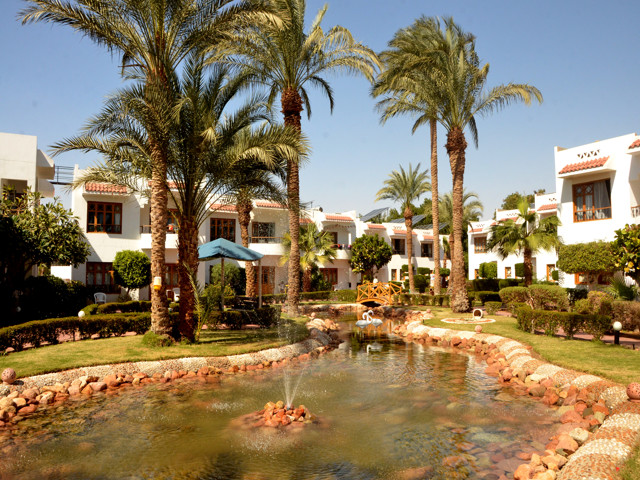 Dive Inn Resort 101/107
