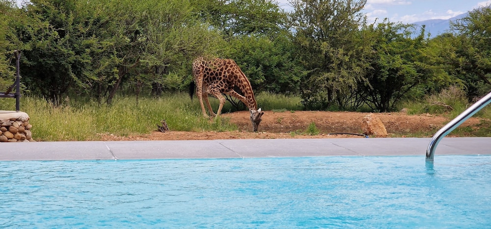 Thandolwami Bushlodge & Spa 10/26