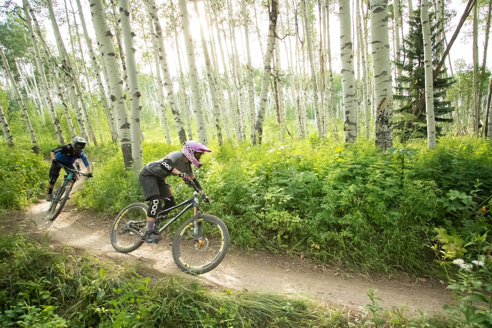 Snowmass Mountain Chalet 36/43