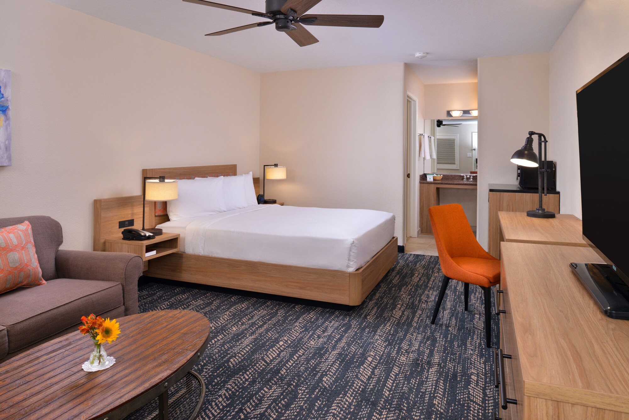 Studio, Suite, Queen Bed, Sofa, Accessible
