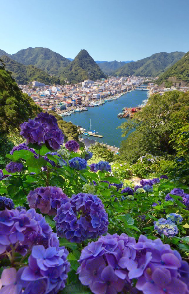 Shimoda Ocean Park Hotel 9/52