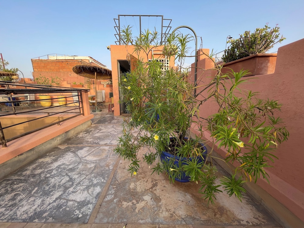 Riad Samarine 32/42