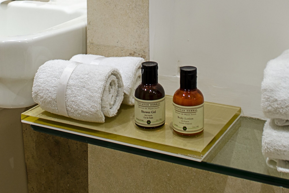 ホテル パラシオ サン レオナルド(Hotel Palacio San Leonardo) 写真3