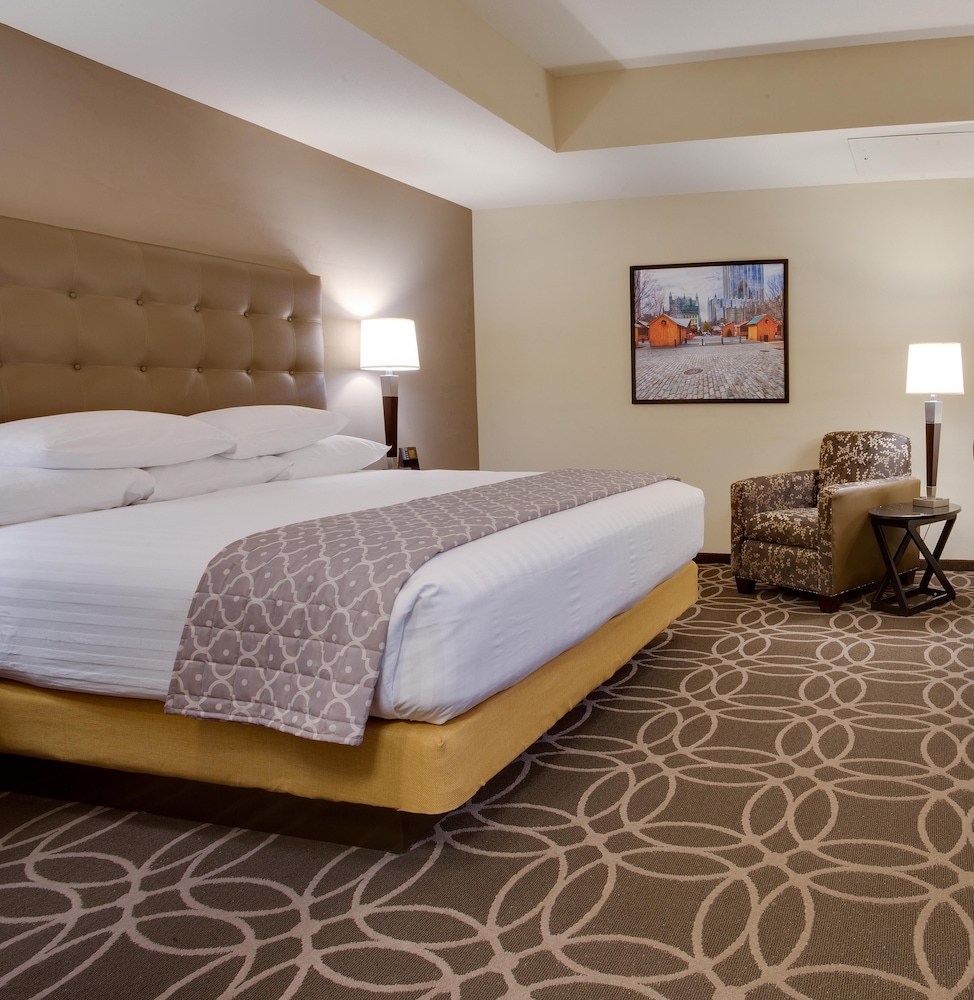Drury Plaza Hotel Pittsburgh Downtown 6/50