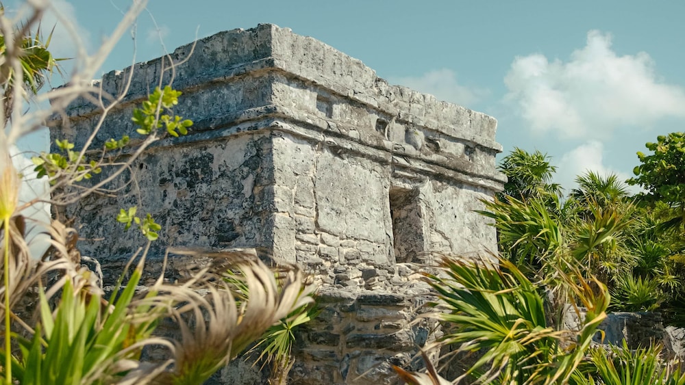 Occidental At Xcaret Destination in PLAYA DEL CARMEN