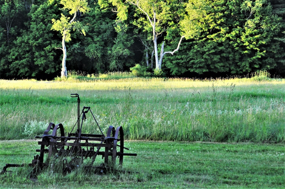 Gedney Farm 42/56