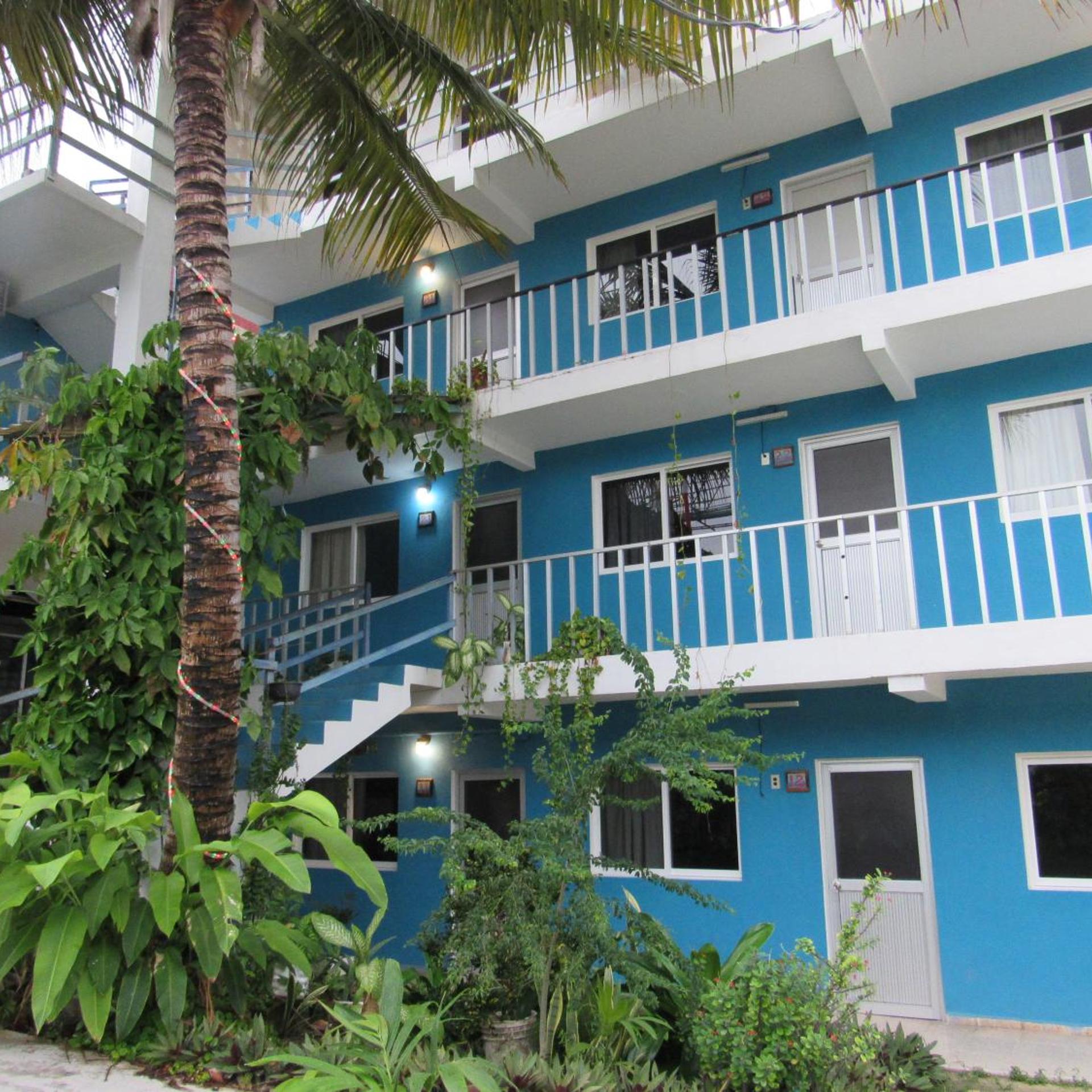 Blue Coconut Cancun 3/52