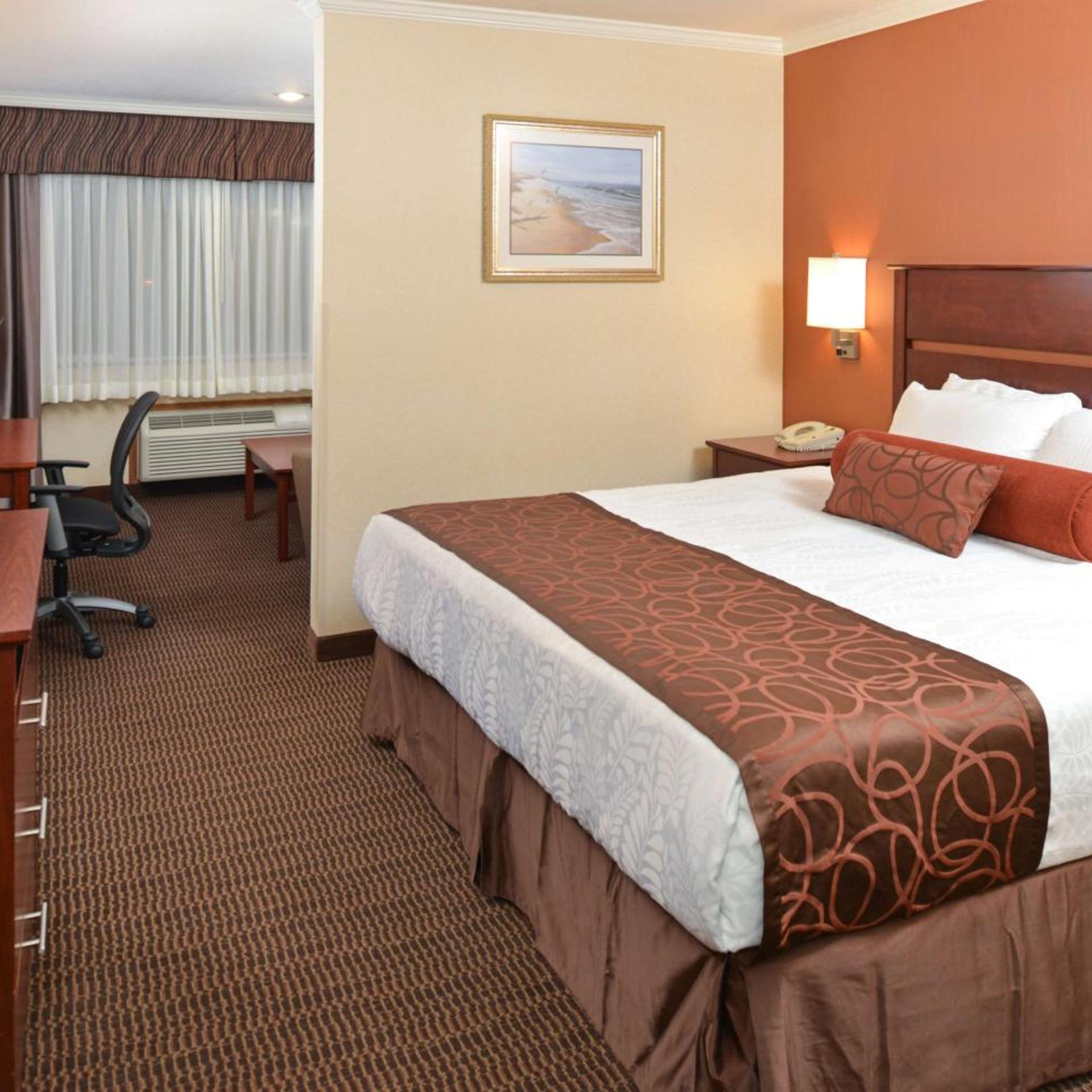 Suite, King Bed, Sofa