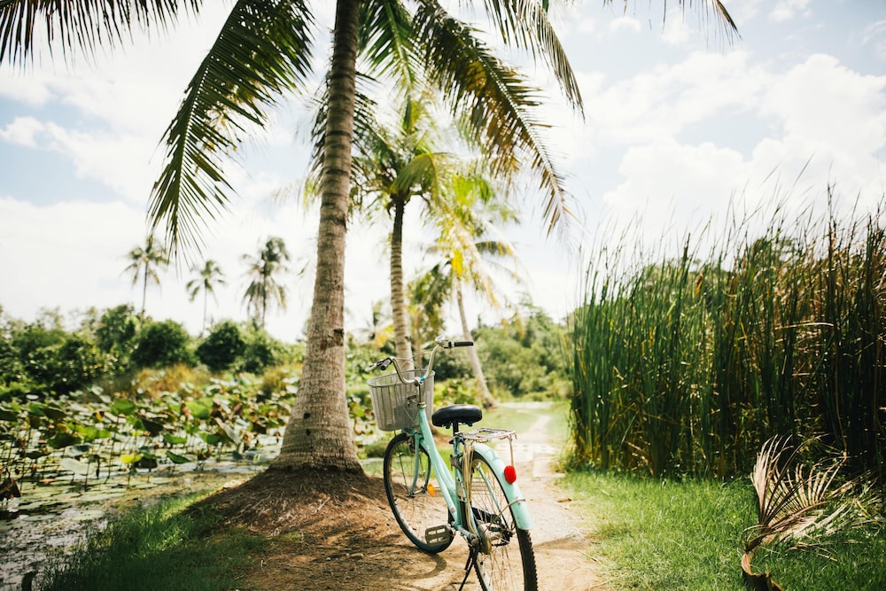 Cape Pakarang Wow Wild Wellness Escapes 25/50