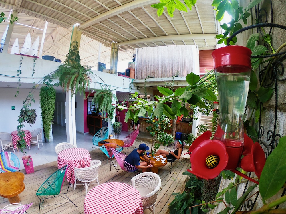 Casa Colibri Palomino 29/50