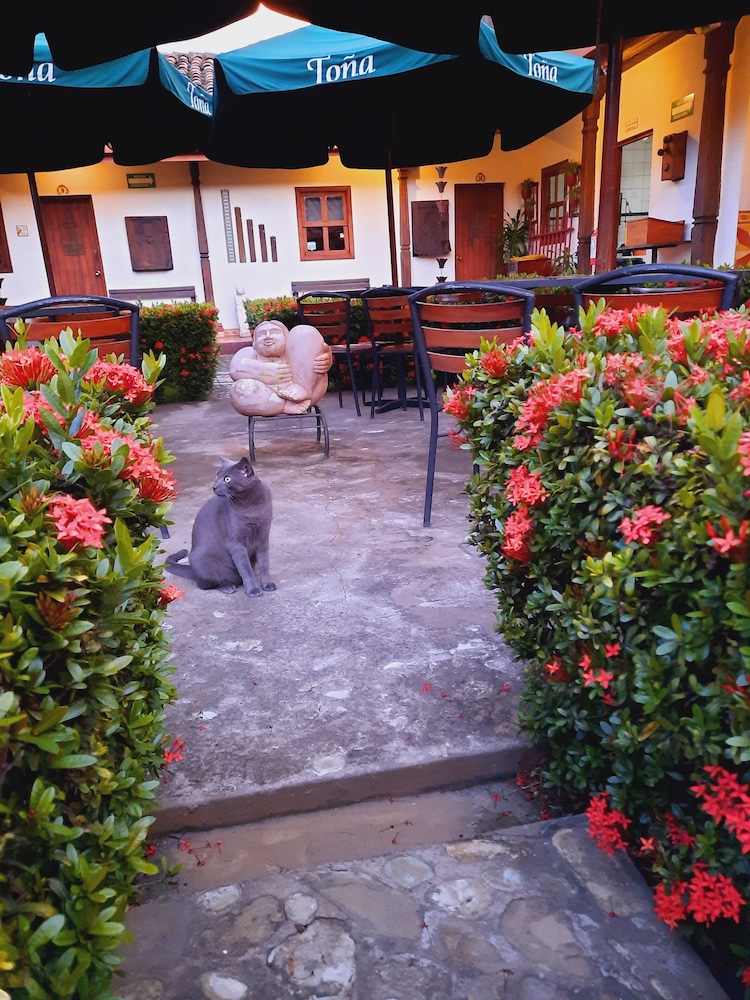 Hotel La Posada Del Doctor 33/65