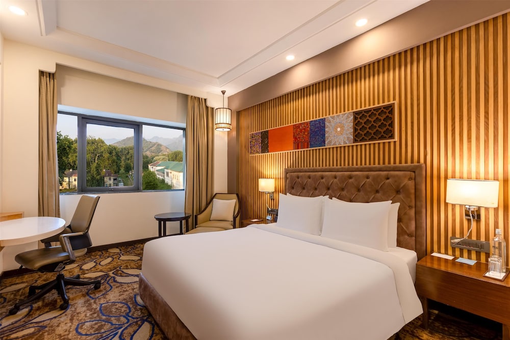 Radisson Srinagar 16/54