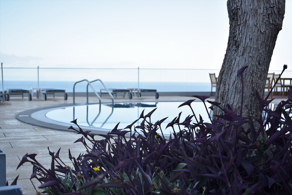 Madeira Regency Cliff - Adults Only 37/50