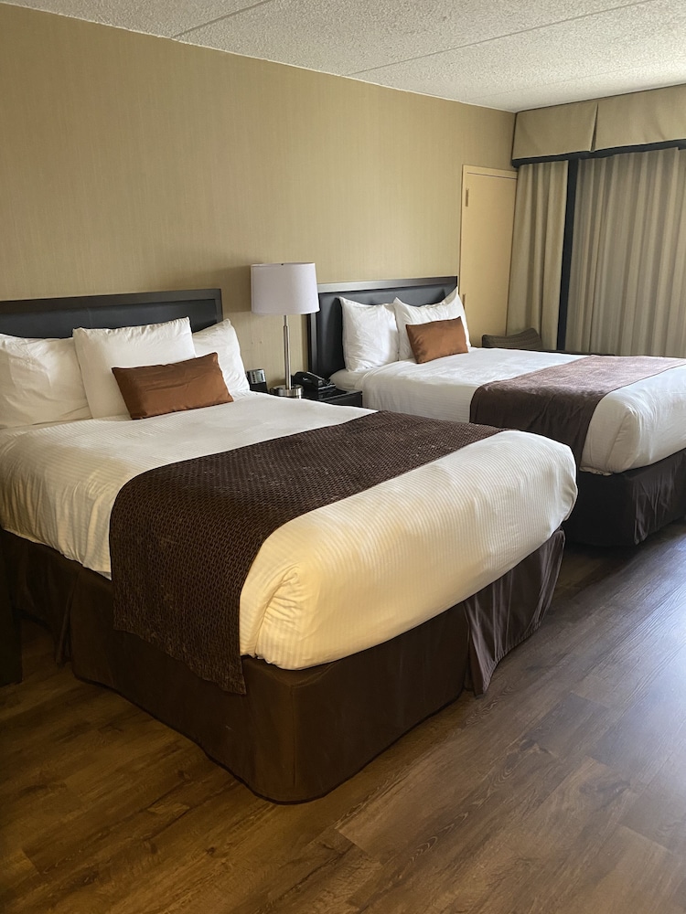 Wingate by Wyndham Springfield 22/60