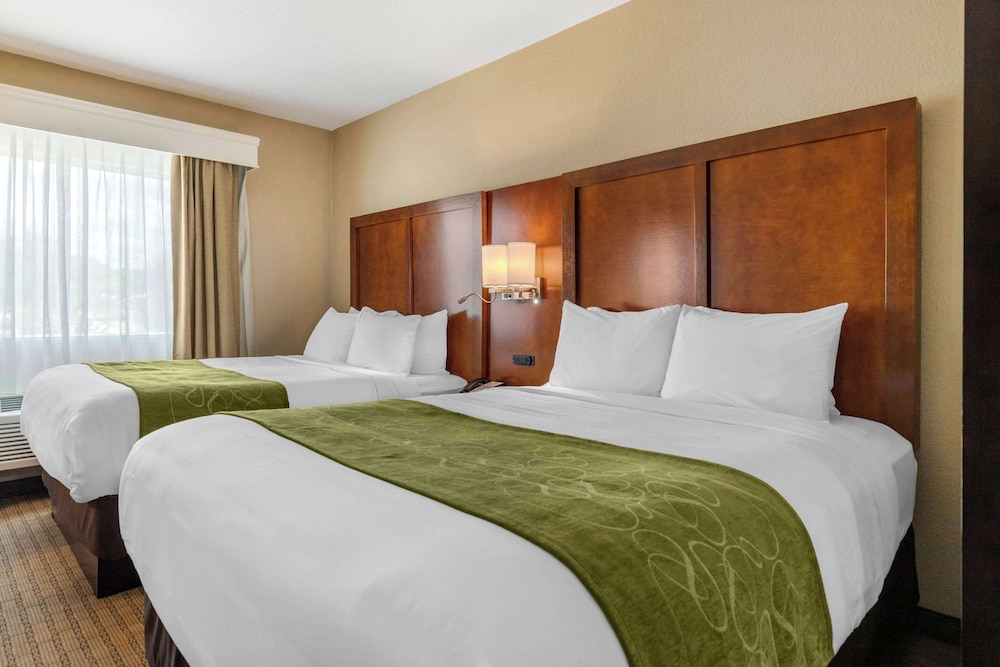 SUITE, 2 QUEEN BEDS, ACCESSIBLE