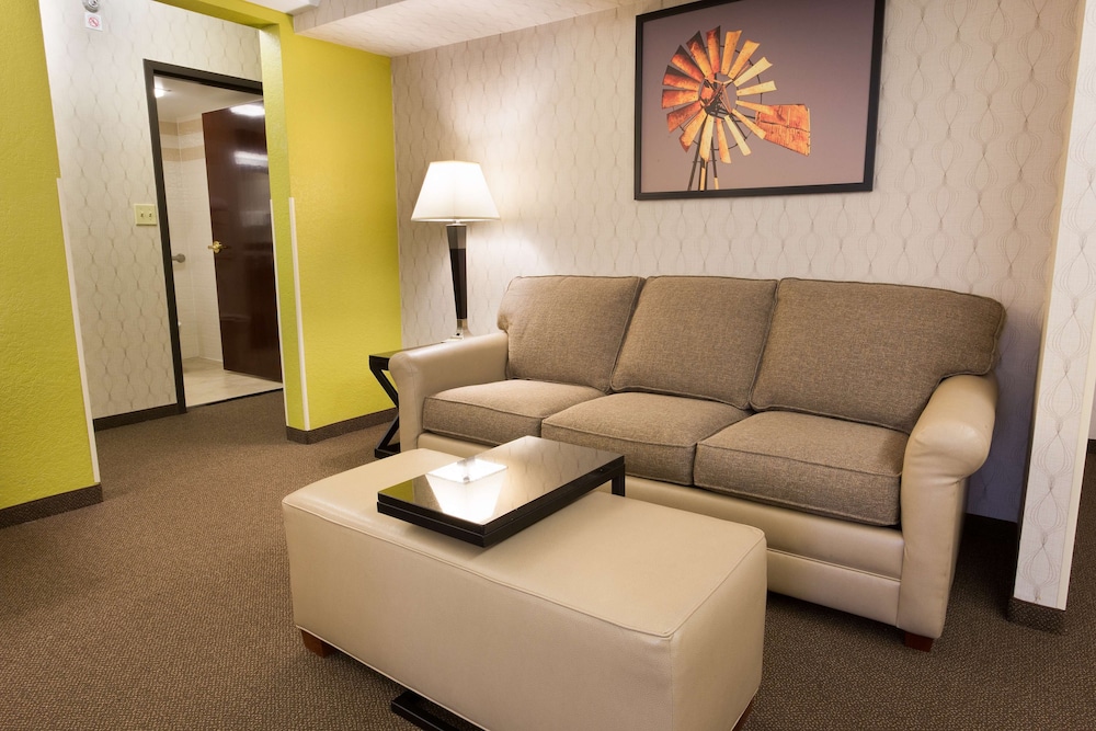 Drury Inn & Suites Near the Galleria Houston 29/49