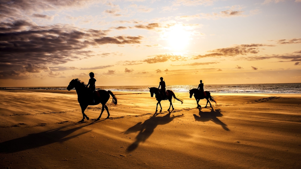 InterContinental Bahrain by IHG 74/77