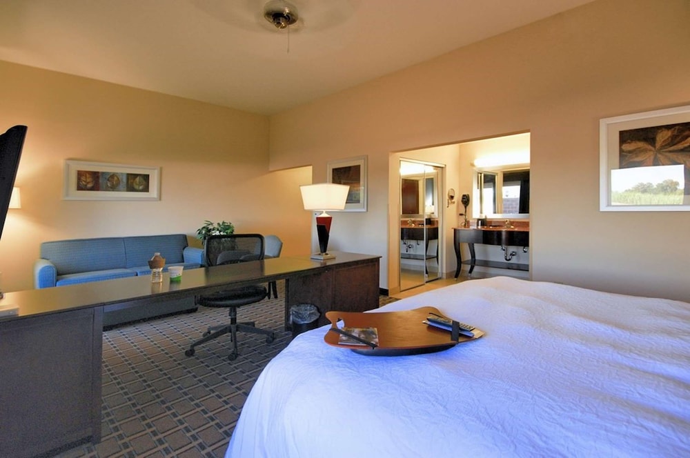 Hampton Inn Suites New Iberia Avery Island 19/47