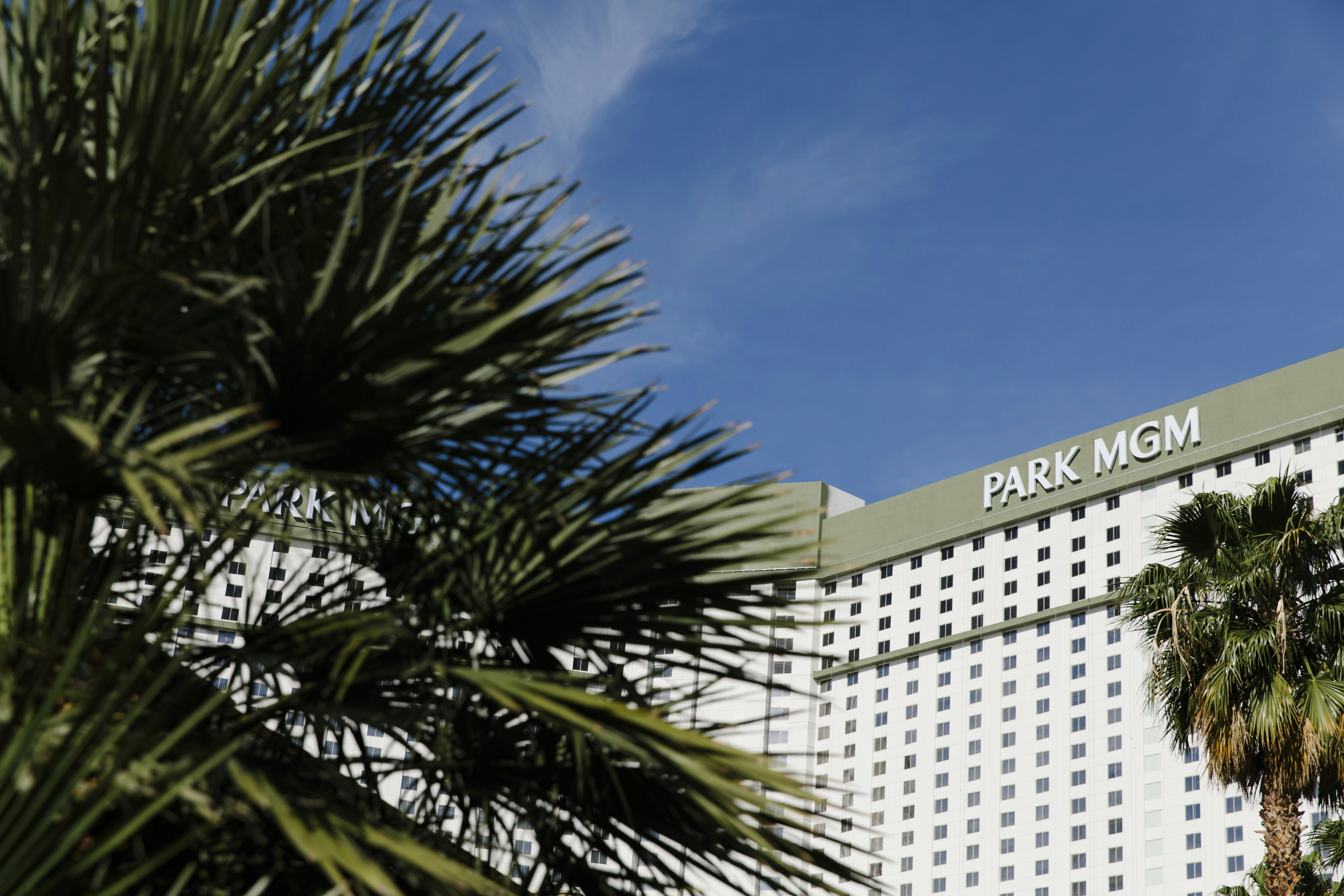 Park MGM Las Vegas 6/77