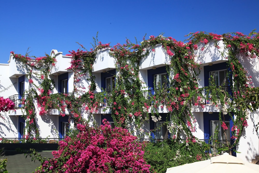 Catamaran Hotel 45/55