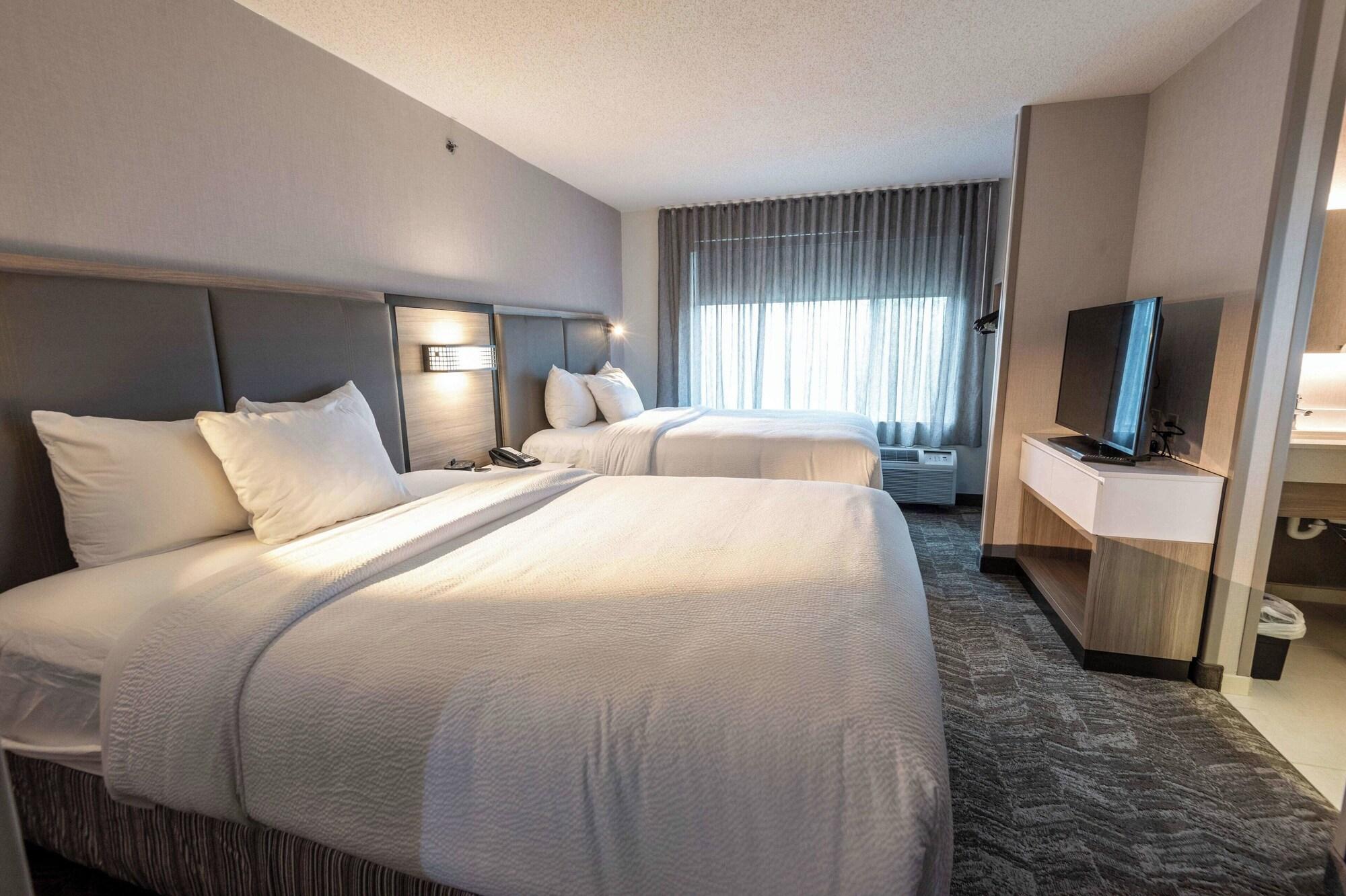Suite, Multiple Beds, Accessible