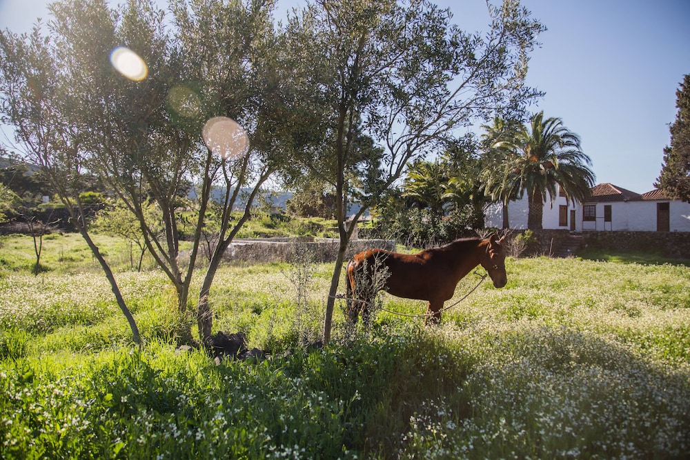 La Casona Del Patio 24/70