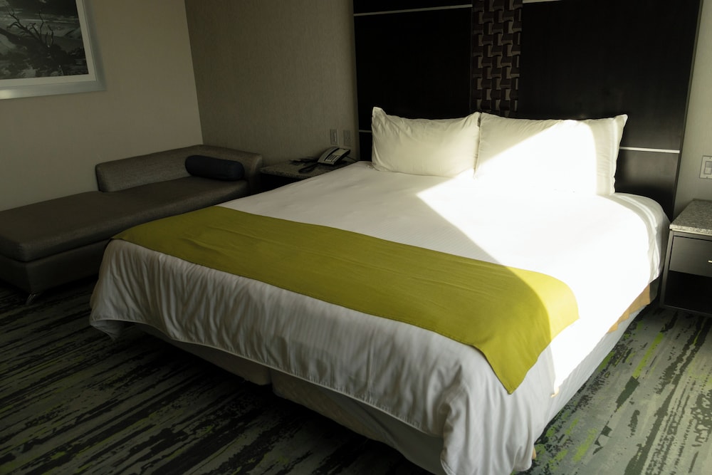Hotel Araiza San Luis 18/74