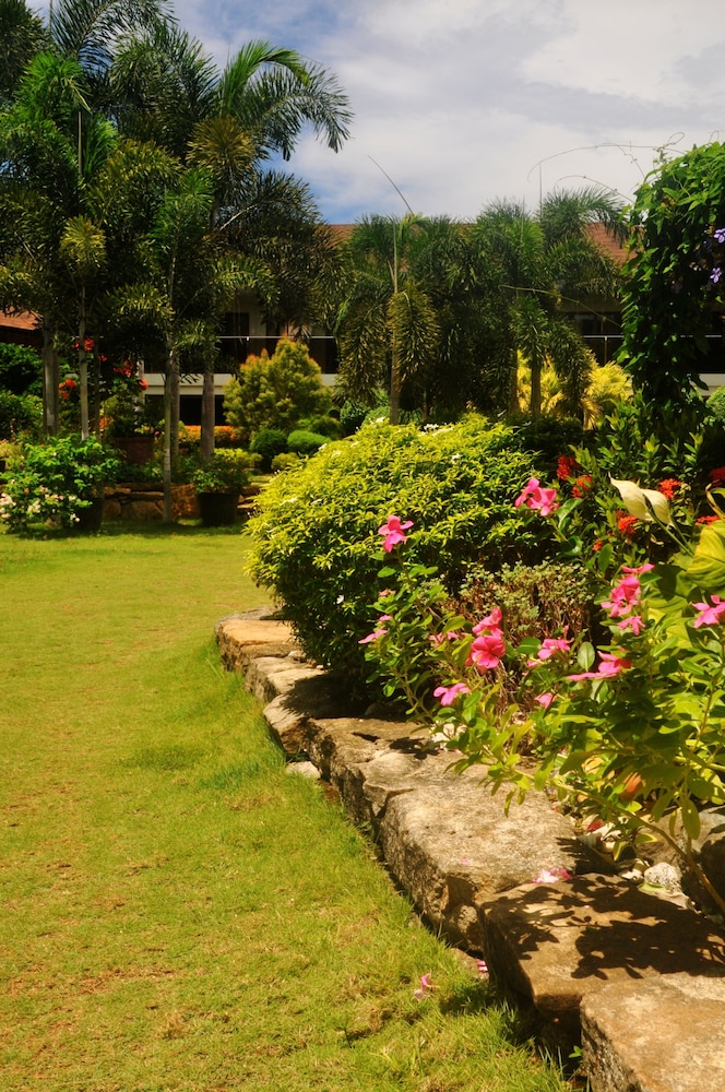 Alona Golden Palm Resort 23/47
