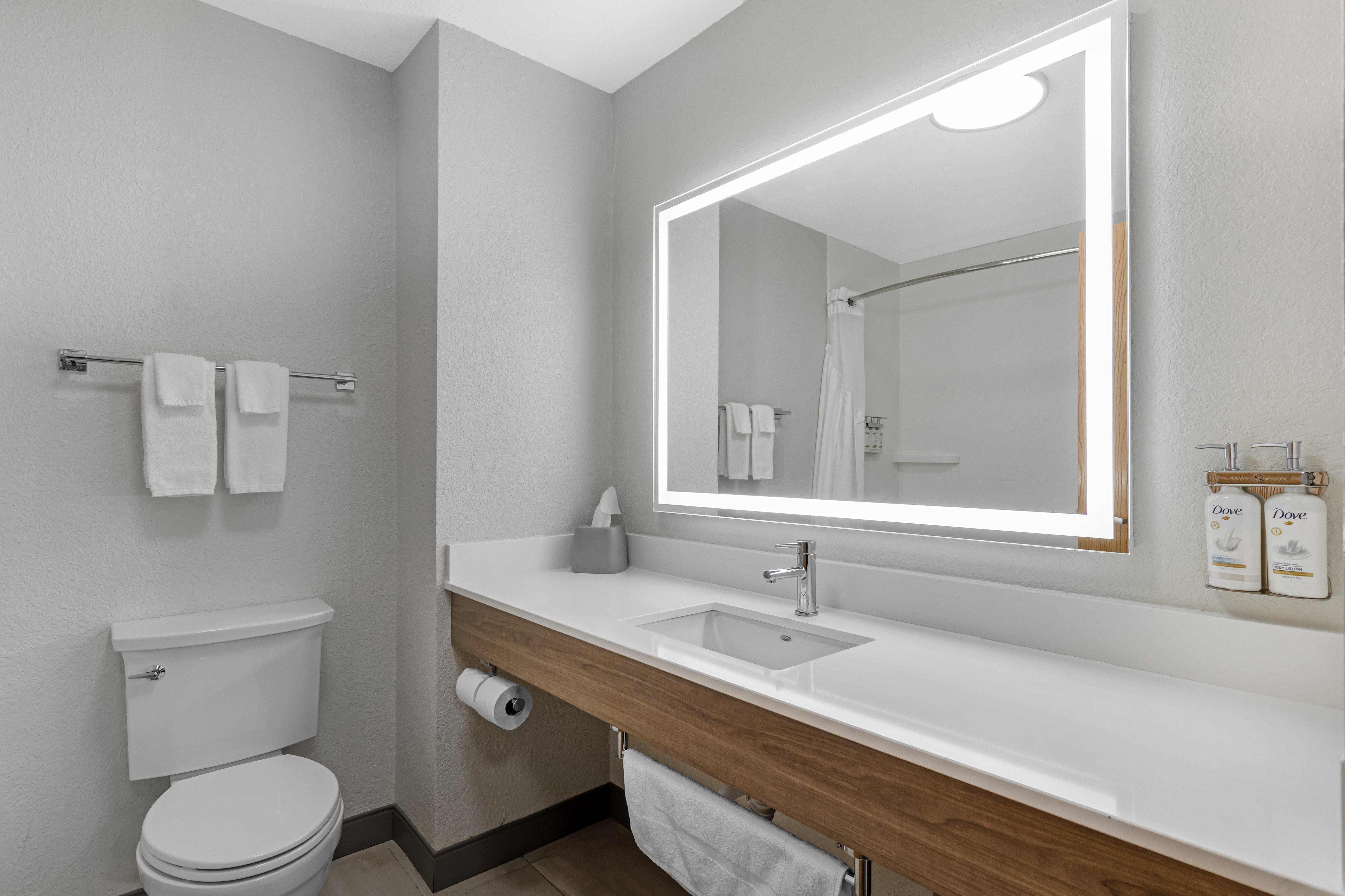 Holiday Inn Express Hotel Suites Charlotte 43/44
