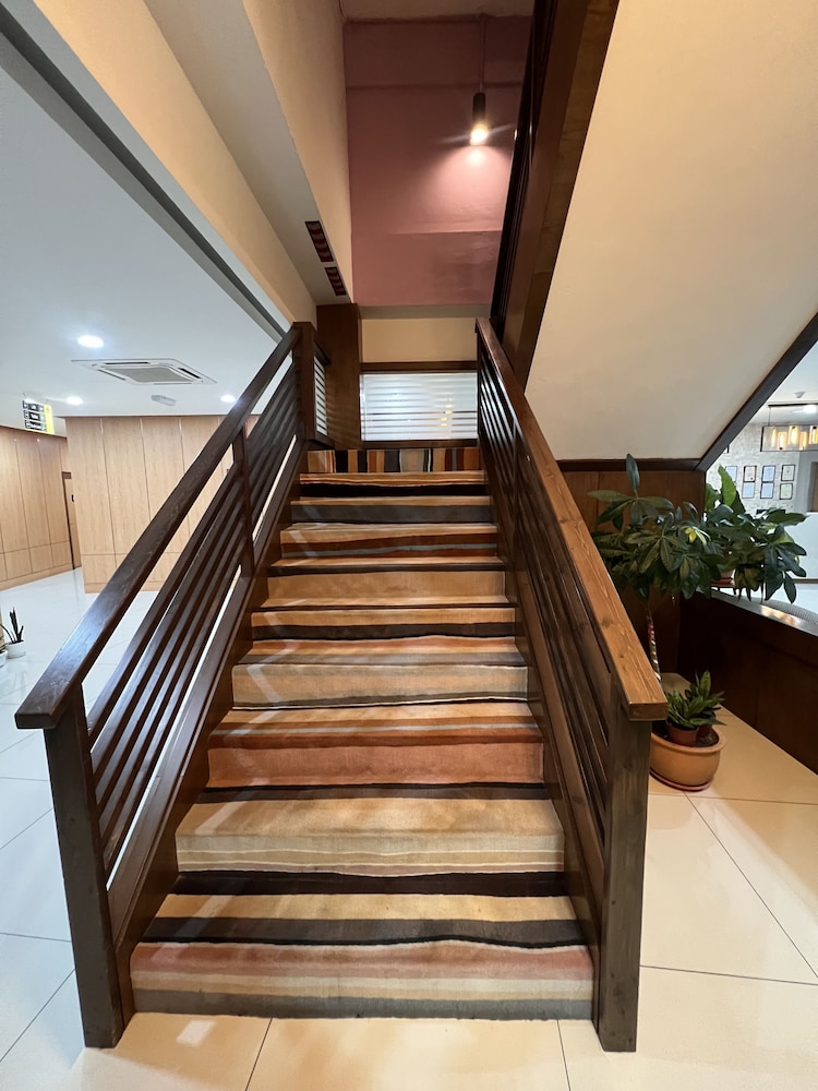 D Arc Hotel 27/50
