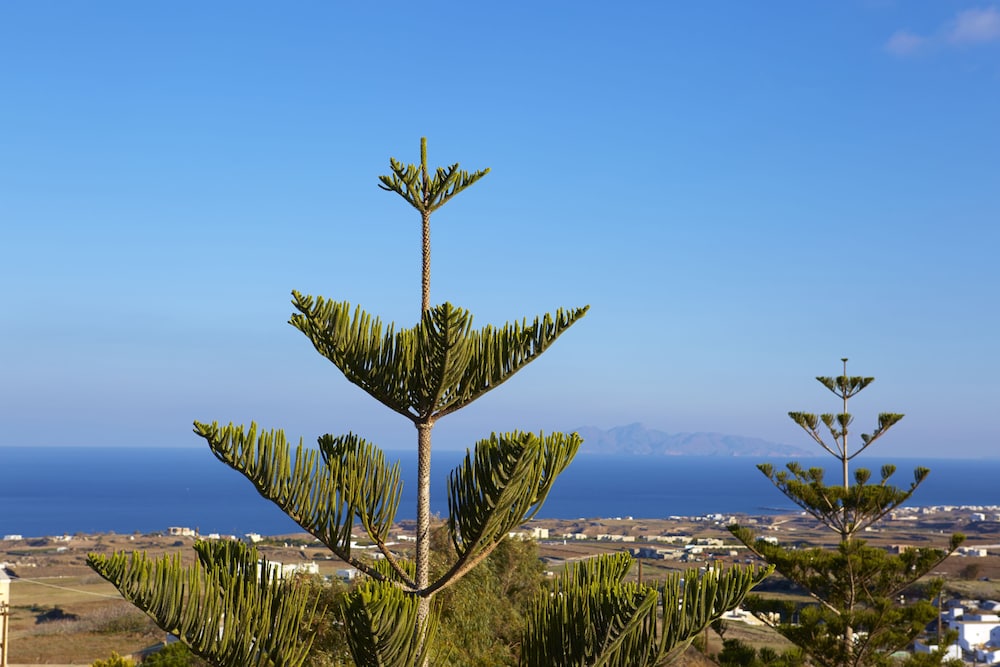 Milos Villas Hotel 34/34