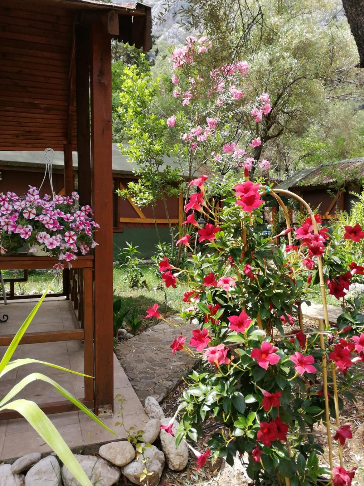 Canario Pension Bungalow 47/50