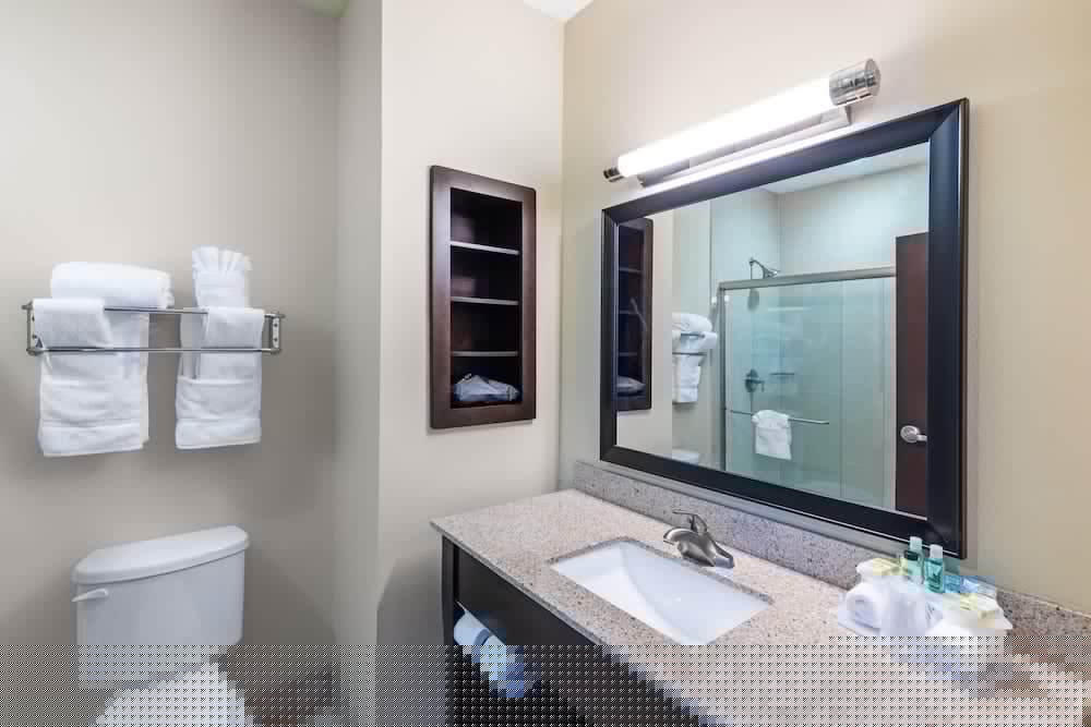 Holiday Inn Express Suites Floresville 32/58