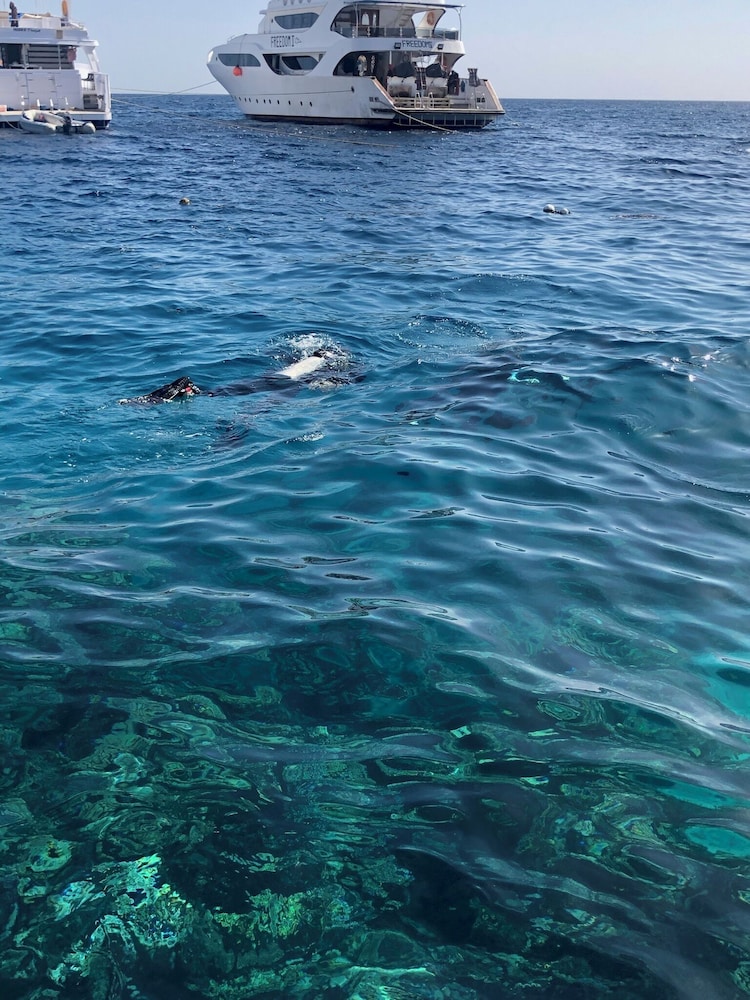 Sharks Bay Umbi Diving Village 41/50