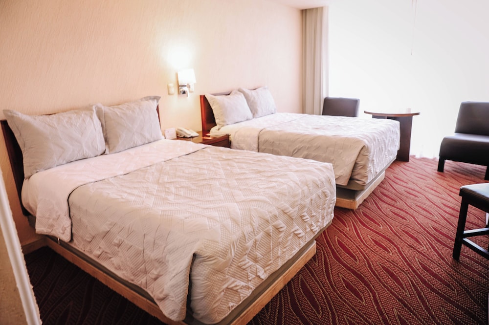 Hotel Real Plaza Aguascalientes 29/71