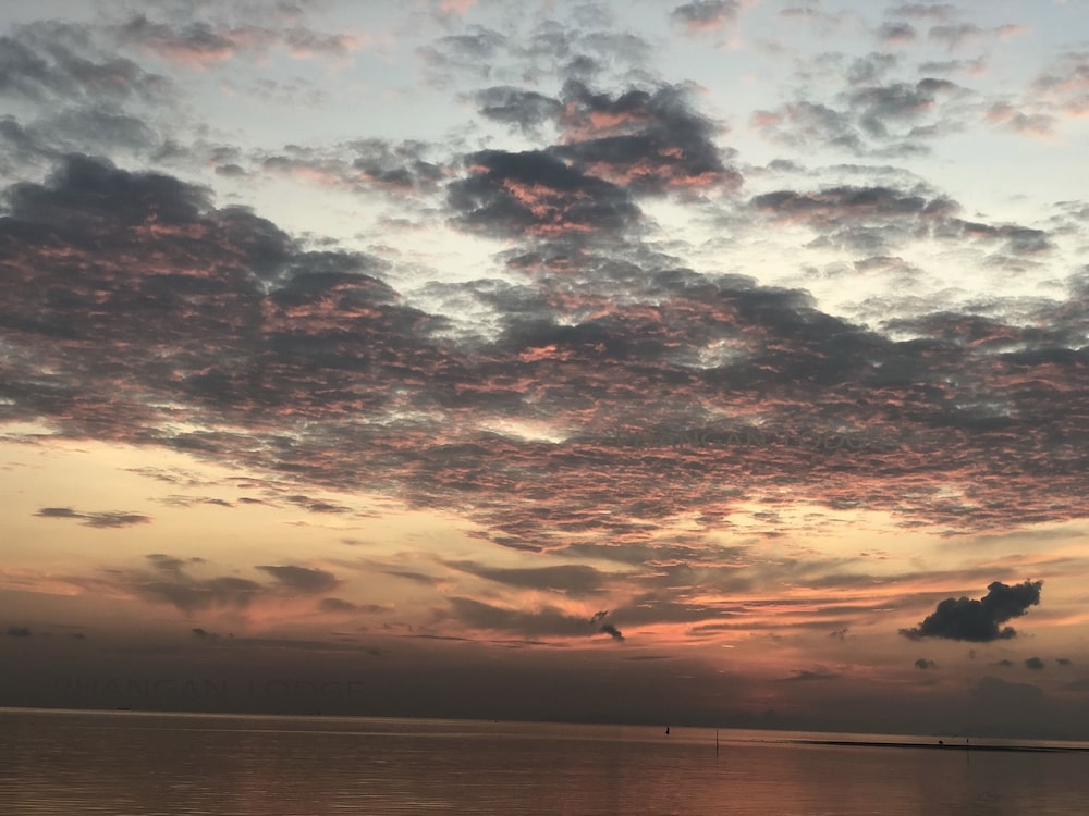 Phangan Lodge 35/50