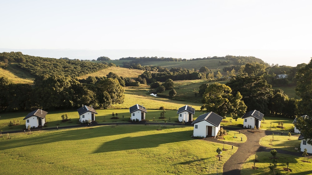 Beechmont Estate 45/50