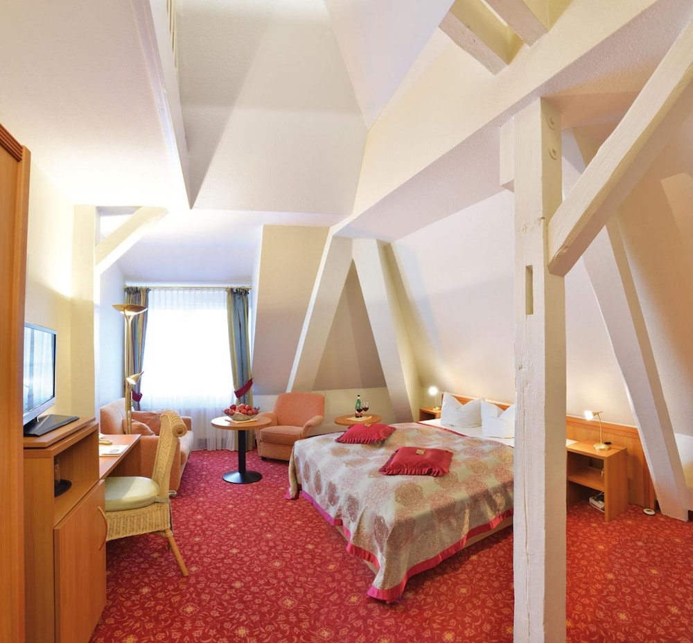 Schwarzwald Park Hotel 20/65