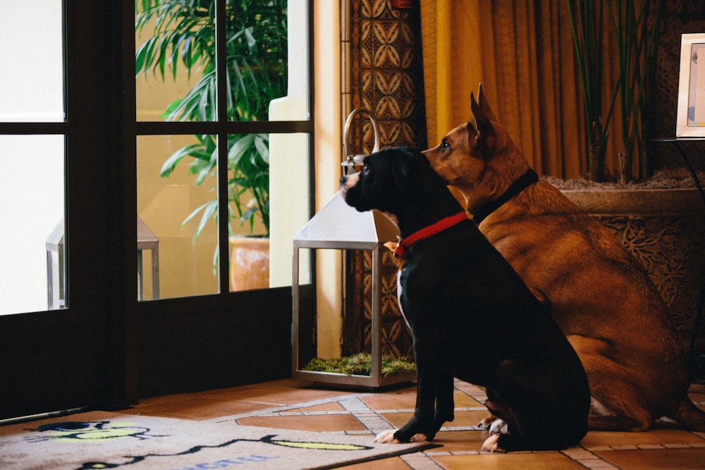 Kimpton Canary Hotel, an IHG Hotel 37/79