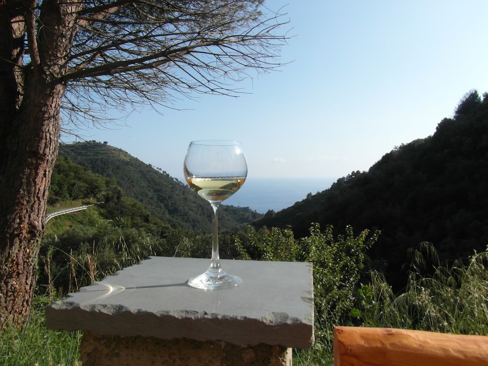 Agriturismo Costa Di Campo 44/44