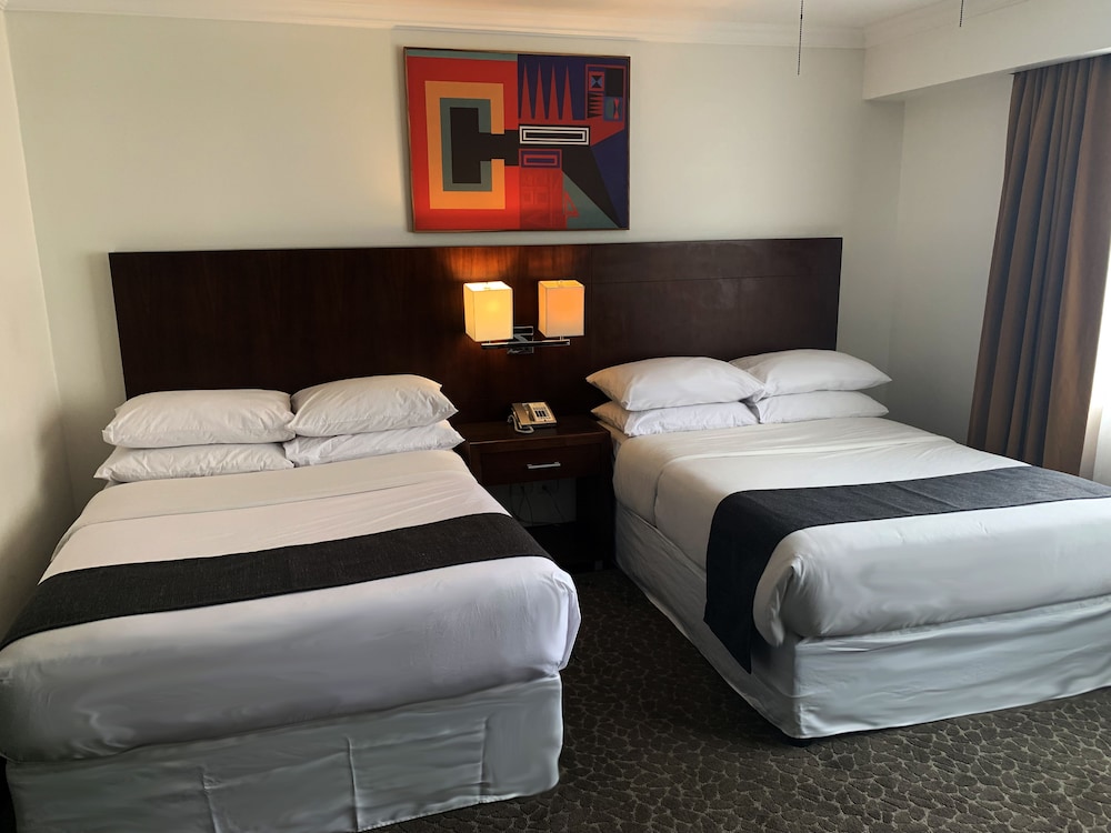 Kc Hotel San Jose 32/84