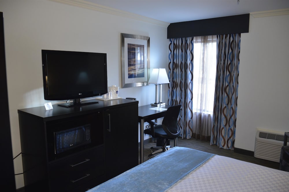 Best Western Webster Hotel, Nasa 21/50