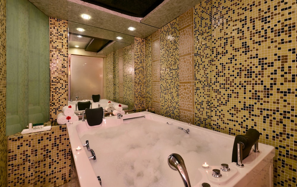 Hotel Ashiana Regency 20/45