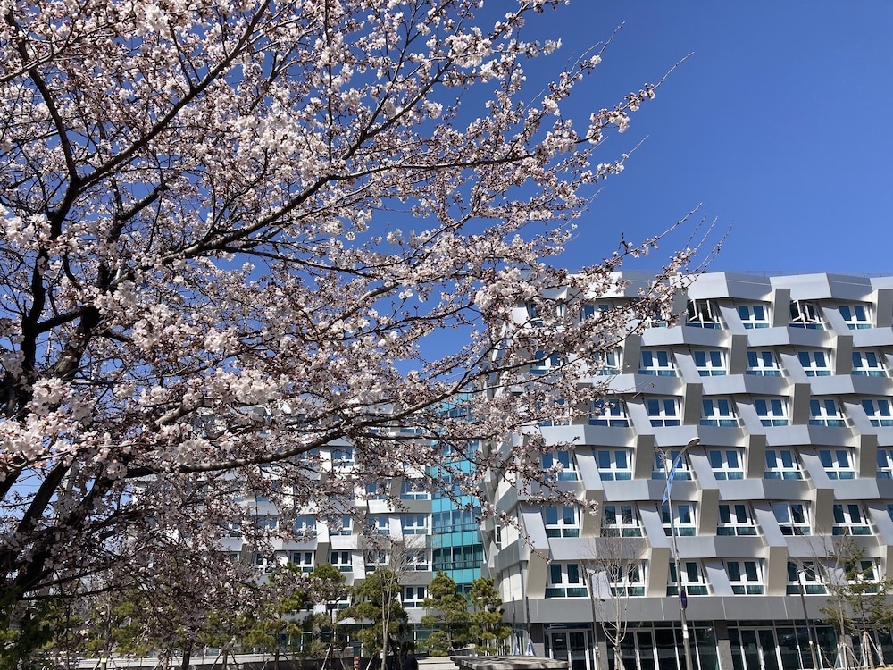 Marinabay Sokcho酒店(Marinabay Sokcho) 图片4