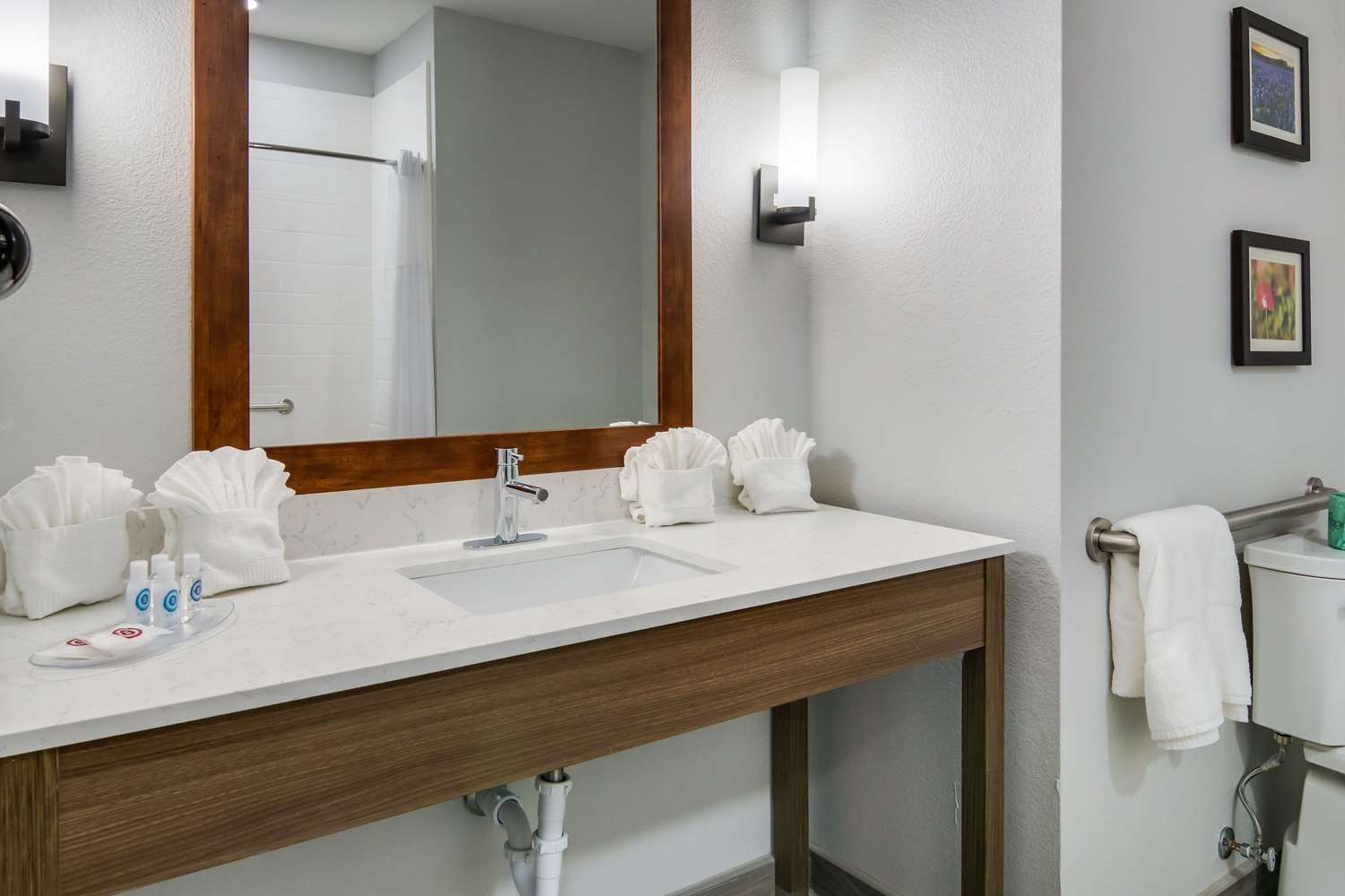 جناح بسرير كينج لذوي الإعاقة، Comfort Suites DeSoto Dallas South 4/5