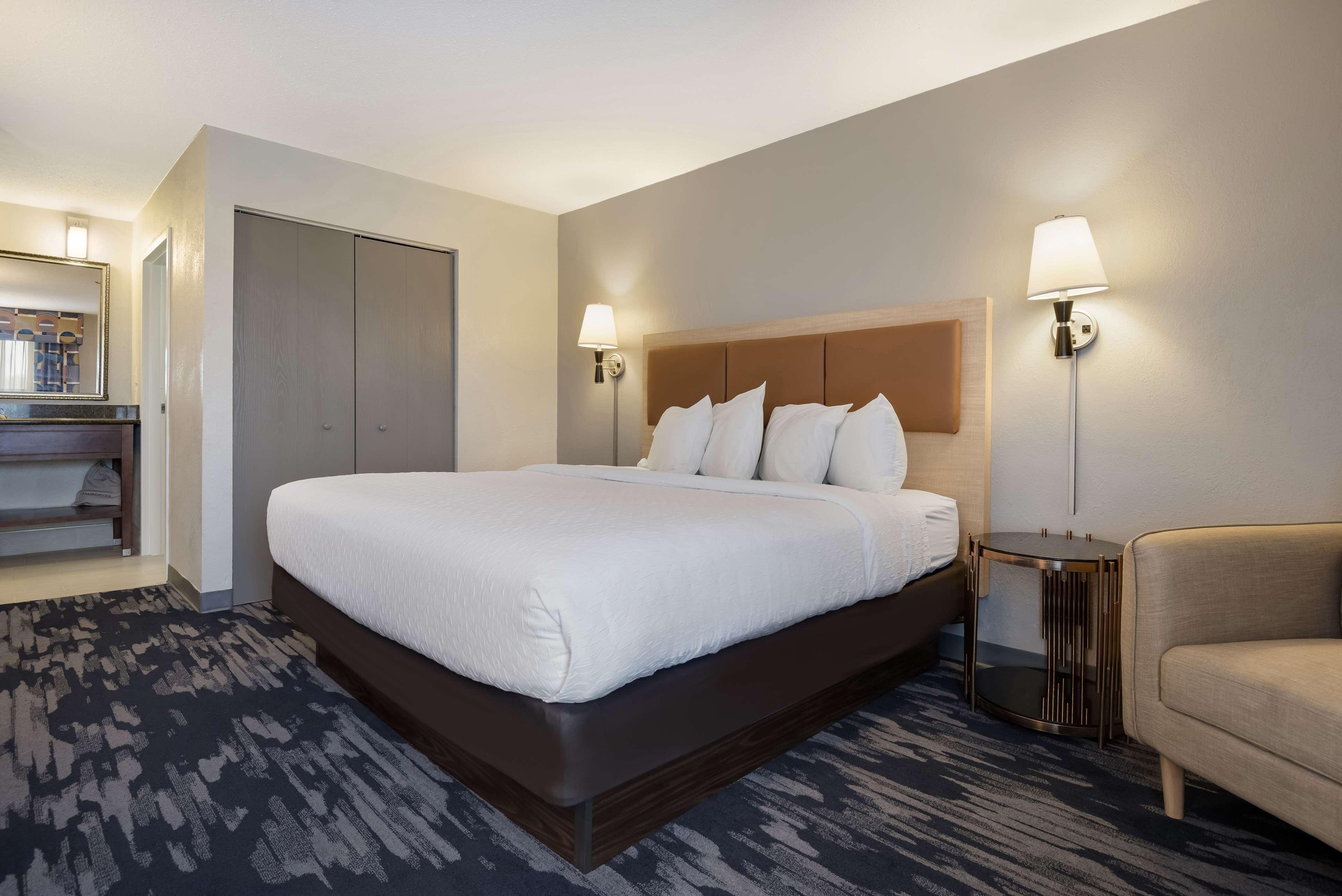 2 Rooms, Wet, Suite, King Bed, Sofa, Living Area