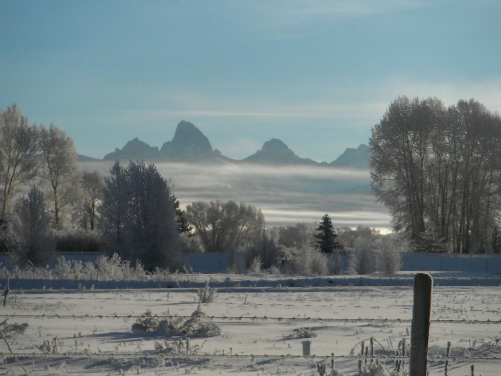 Teton Peaks Resort 46/50