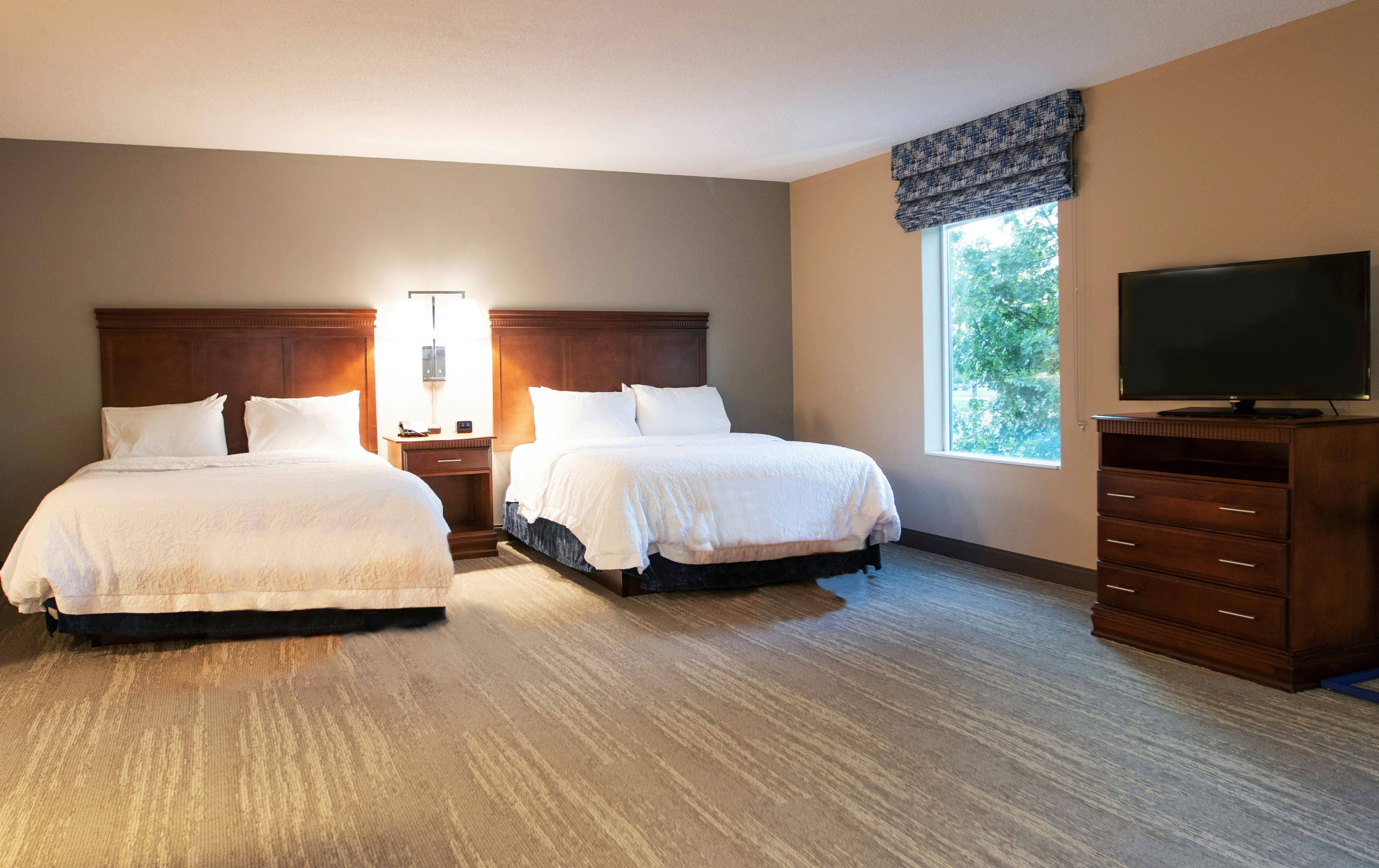 Studio, Suite, 2 Queen Beds, Sofa