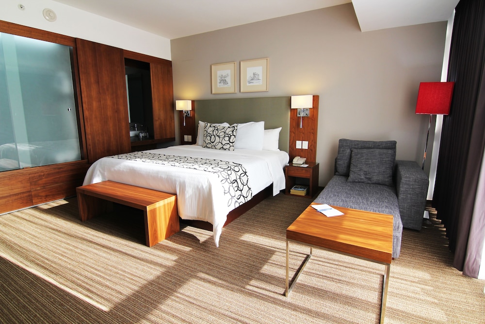 Casa Inn Premium Hotel Queretaro 10/42