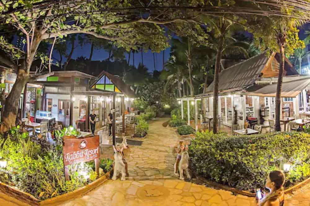 Rabbit Resort 37/50